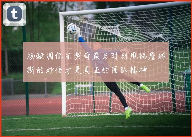 杨毅调侃东契奇最后时刻甩锅詹姆斯的妙传才是真正的团队精神