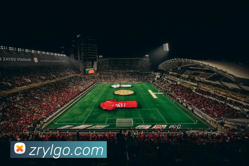 真人娱乐APPAPP 封面图